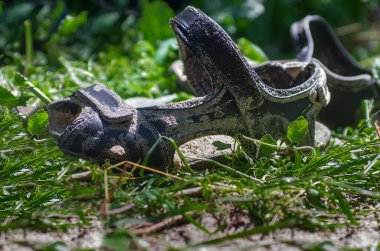 Siyah sandalet çim üzerinde yalan