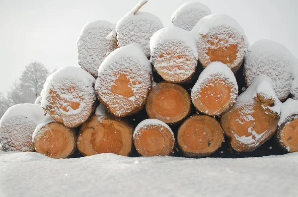 Колоди Під Білим Свіжим Снігом — стокове фото