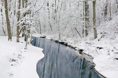 Ağaçlar kış nehir manzarası kar ile kaplı. Nehir orman üzerinde.