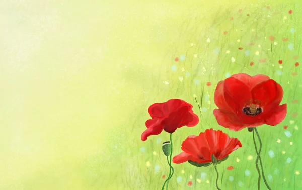 Wiosną pola pełne z Czerwone maki i polne kwiaty — Zdjęcie stockowe