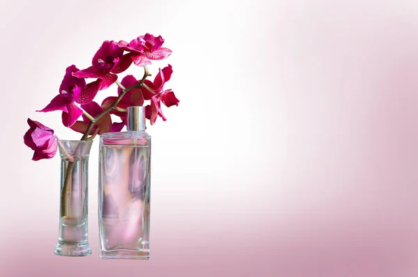 Woman perfume in beautiful bottle and pink orchid isolated on wh