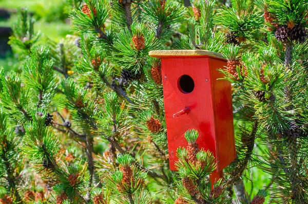 Casa de pájaros de madera roja contra tronco de árbol entre hojas en caliente —  Fotos de Stock