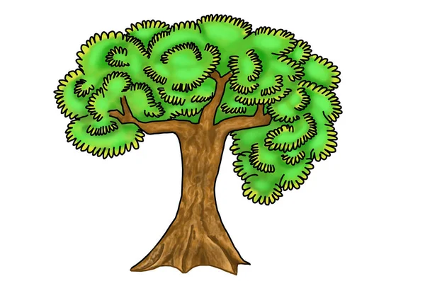 Zelený strom se zelenými listy na bílém pozadí. — Stock fotografie
