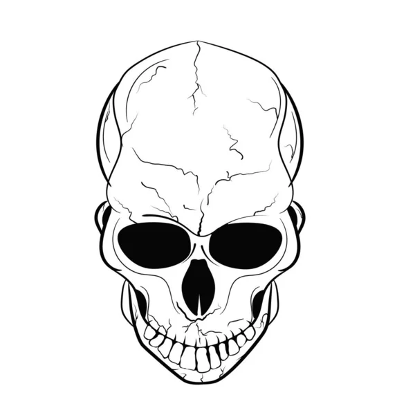 Ilustración vectorial en blanco y negro del cráneo humano. Se puede utilizar para imprimir en camisas, postales o como ideas para tatuajes . — Vector de stock