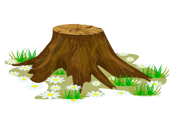 Δέντρο Κούτσουρο Απομονωμένο Λευκό Φόντο Μεγάλο Κούτσουρο Δέντρου Ρίζες Γρασίδι — Διανυσματικό Αρχείο