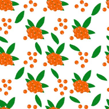 Beyaz arka planda, yaban mersinli kusursuz desen. Turuncu böğürtlen ve yapraklarla sonbahar deseni. Şükran Günü, Noel, etiket ve ambalaj tasarımı. Sonbahar renkli çiçek arkaplanı. Stok vektör illüstrasyonu