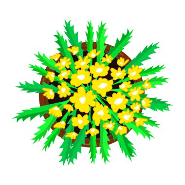Saksıdaki çiçek beyaz arka planda izole edilmiş. Seramik saksıda yeşil yapraklı taze sarı çiçek. Ev bitkisi manzaralı. Peyzaj tasarımı projeleri ya da mimarlık planı. Stok vektör illüstrasyonu