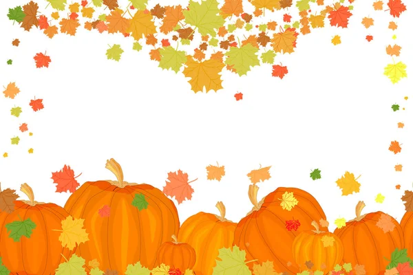 Holiday Border Pumpkins Autumn Leaves Isolated White Background Maple Leaves — Stock Vector