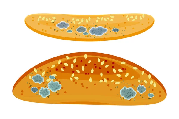 Beyaz arka planda izole edilmiş ekmek ya da baget üzerine küf. Bayat küflü yiyecekler. Yenilemez, küflü, yaşlı çörekler. Daha fazla yemeyeceğim. En iyi tarih uzun zaman önce sona erdi. Stok vektör illüstrasyonu
