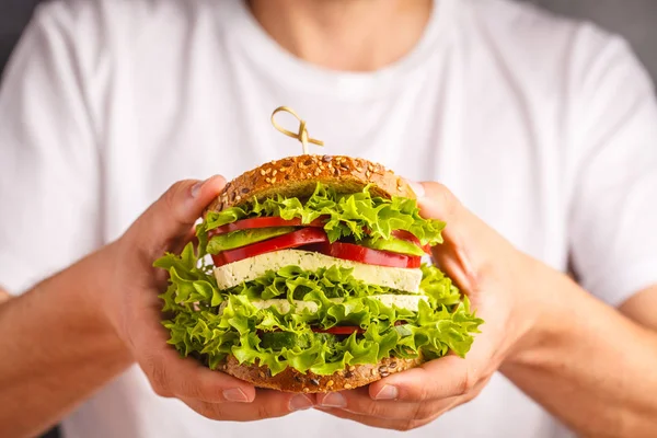 Stor Vegansk Sandwich Med Tofu Friske Grøntsager Mandlige Hænder Hvid - Stock-foto