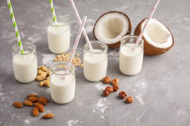 Vegan alternatif fındık süt gri bir arka plan üzerinde cam şişelerde. Sağlıklı vegan gıda kavramı.