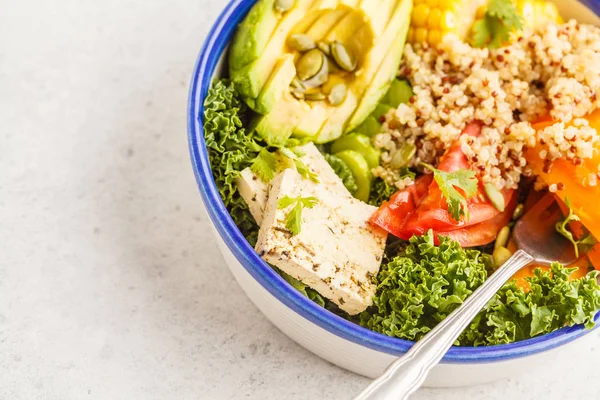 Vegan Healthy Rainbow Salad Buddha Bowl Quinoa Tofu Avocado Kale — Stock Photo, Image