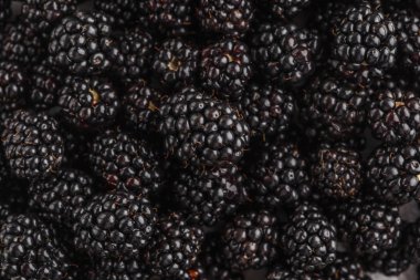 Taze çiğ blackberry arka plan, üstten görünüm. Temiz yemek kavramı.