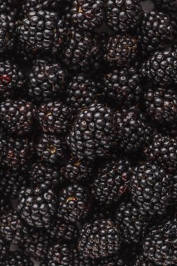 Taze çiğ blackberry arka plan, üstten görünüm. Temiz yemek kavramı.
