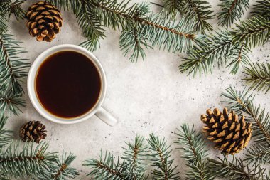 Noel arka plan kavramı. Noel ağacı, çarpmak, beyaz arka plan, dalları kopyalamak alanı, üstten görünüm, yeni yıl Kartpostalı.