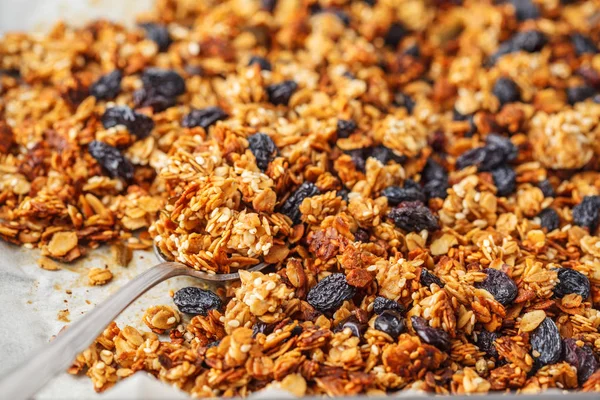 Granola Horno Con Pasas Una Bandeja Para Hornear —  Fotos de Stock