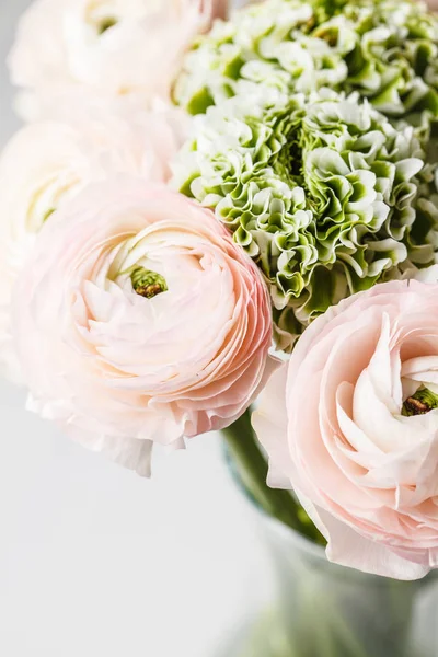 Hermosas flores de ranúnculo rosa fresco, fondo blanco . — Foto de Stock