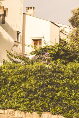 Karadağ'da güneşli bir günde Beyaz Saray'ın cephesi.