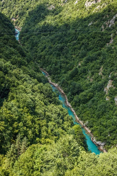 Canyon of the river Tara in the mountains of Montenegro. — Stock Photo, Image