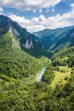 Karadağ dağlarında Tara Nehri Kanyonu.