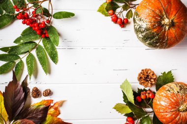 Sonbahar kompozisyonu. Sonbahar yaprakları, çilek ve kabak 