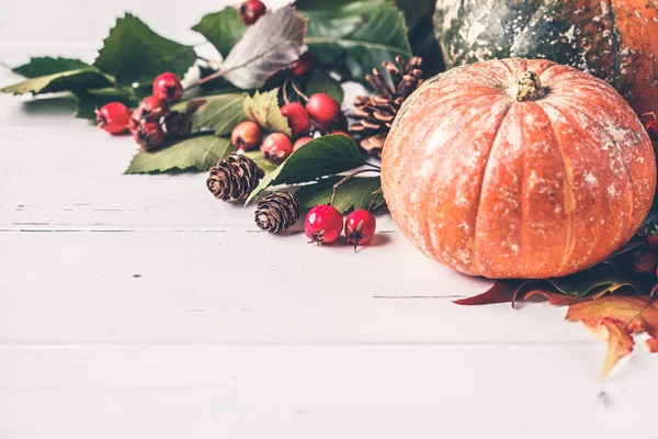 Herfst samenstelling. Herfst bladeren, bessen en pompoen — Stockfoto