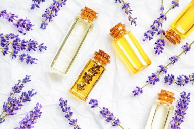 Küçük cam şişelerde lavanta yağı, beyaz arka plan.