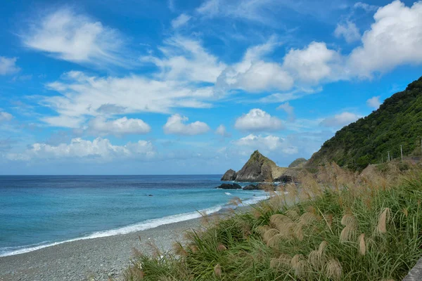 Serene Tidal Flat Landscape with Wooden Poles: A calm scene of shallow water covering a tidal flat, marked by rows of wooden stakes extending across the area.