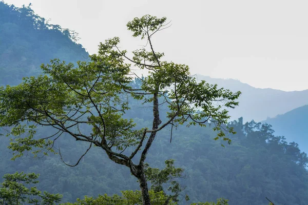 Serene Tidal Flat Landscape with Wooden Poles: A calm scene of shallow water covering a tidal flat, marked by rows of wooden stakes extending across the area.