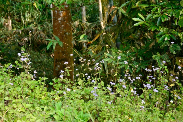 Serene Tidal Flat Landscape with Wooden Poles: A calm scene of shallow water covering a tidal flat, marked by rows of wooden stakes extending across the area.