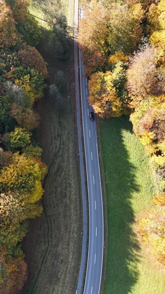Renkli sonbahar ağaçlarıyla çevrili boş bir yolda giden bir arabanın hava aracı görüntüsü. Canlı yeşillik ve mevsimlik atmosferi olan manzaralı sonbahar manzarası
