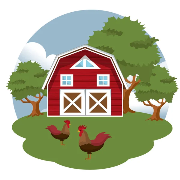 Gallos Escena Granja Ilustración Vectorial Plana — Vector de stock