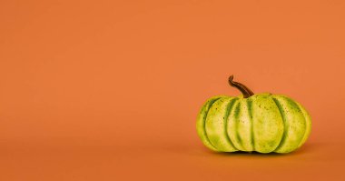 Green pumpkin on an orange background. High quality photo