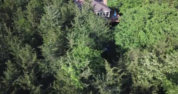 4K aerial of flying over a beautiful green forest, house between trees — Stock Video