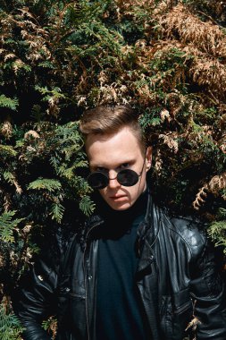 çalılar, arka planda gözlüklü adam yüzü