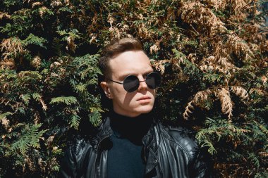 çalılar, arka planda gözlüklü adam yüzü