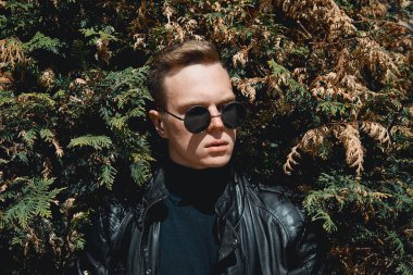 çalılar, arka planda gözlüklü adam yüzü