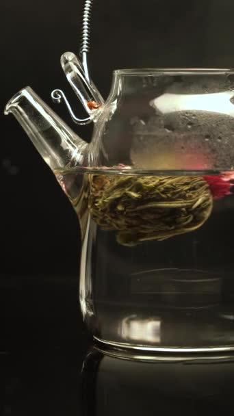Tè verde cinese fiore germoglio fioritura in vetro teiera su uno sfondo nero — Video Stock