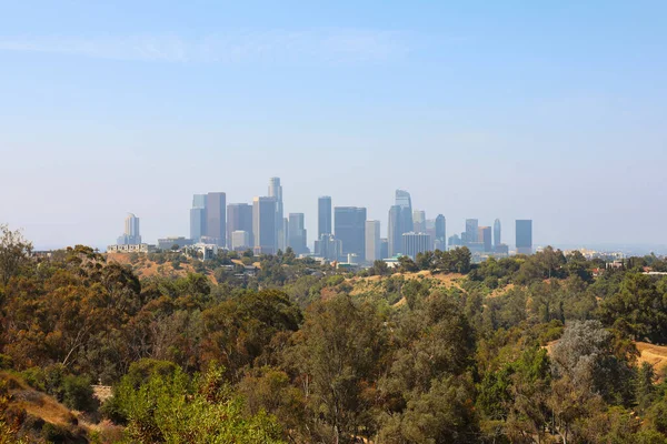 Downtown Los Angeles Skyline with Modern Skyscrapers Viewed from Elysian Park in Southern California