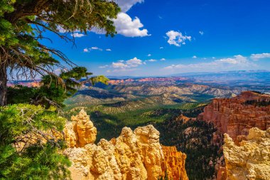 Bryce Canyon Milli Parkı Utah Amerika Birleşik Devletleri.