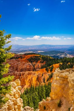 Bryce Canyon Milli Parkı Utah Amerika Birleşik Devletleri.