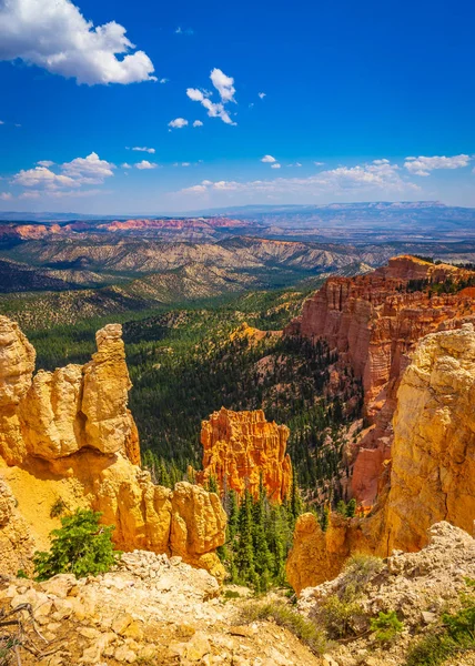 Bryce Canyon Milli Parkı Utah Amerika Birleşik Devletleri.