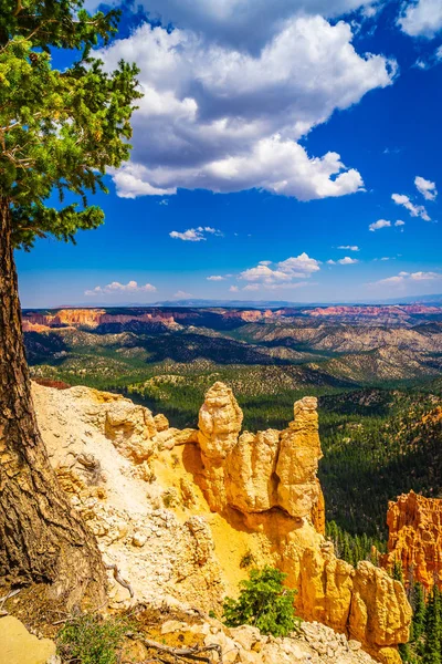 Park Narodowy Bryce Canyon, Utah, Stany Zjednoczone Ameryki — Zdjęcie stockowe