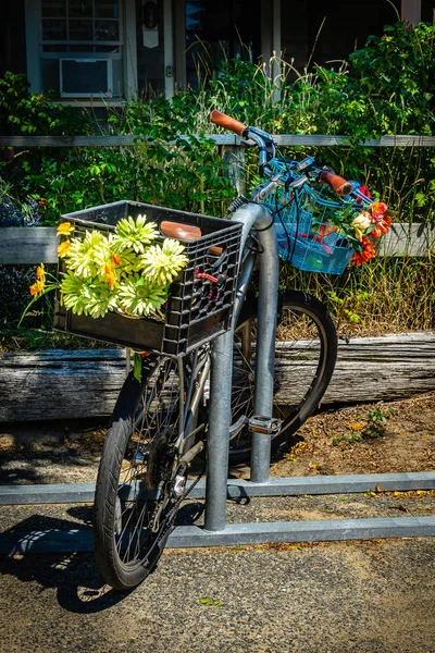 Bicicleta Velha Com Flores Provincetown Massachusetts Eua Agosto 2017 Final — Fotografia de Stock