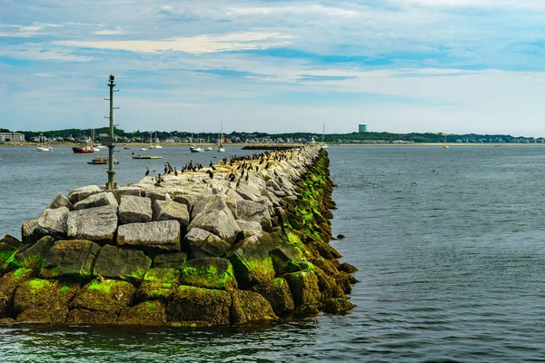 Provincetown Marina golfbreker vogels Provincetown Ma ons. Provincetown Ma ons — Stockfoto