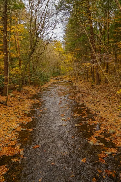 Dingmans Creek Poconos dağlarda, Pennsylvania bize