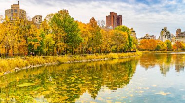 Bir görünümü, Kasım ayında New York'taki Central Park.