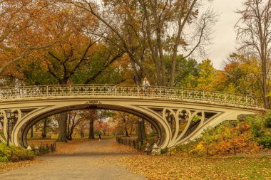 Bir görünümü, Kasım ayında New York'taki Central Park.