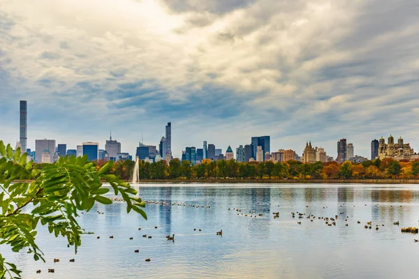 Una vista del Central Park en Nueva York en noviembre . — Foto de Stock