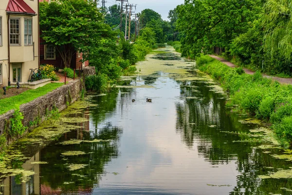 Delaware kanal Towpath ve kaz, tarihi yeni bir umut, Pa